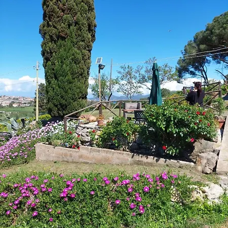 Apartment Fiori Di Mare Le Foci